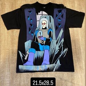 Mask and disguise Mr freeze medium